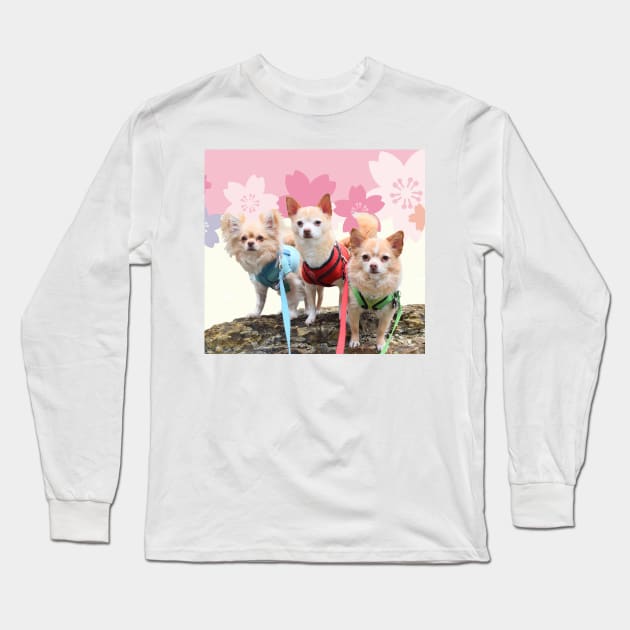 Sakura Chihuahuas Long Sleeve T-Shirt by BarkPink